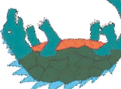 守護神